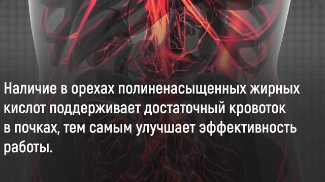 Эти орехи СПАСЛИ мои почки! Дешевое и эффективное средство смотреть онлайн