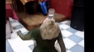 приколы драки на свадьбах