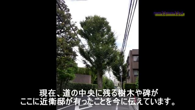 駐在さんの居る町下落合　近衛町を訪ねる。 смотреть онлайн