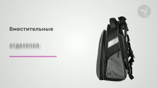 Ранец для девочки Hummingbird T37 Teen смотреть онлайн