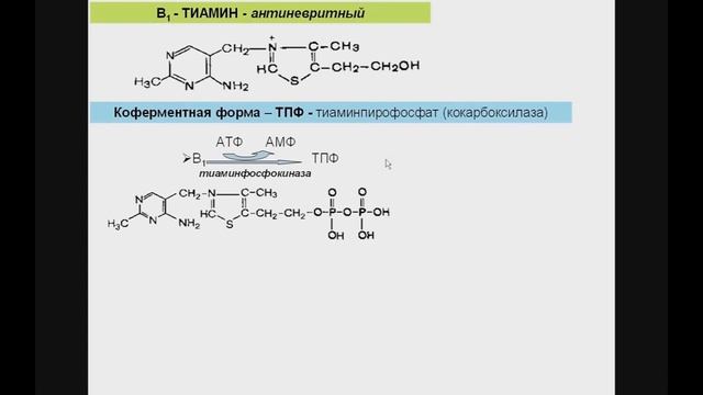 ВИТАМИНЫ 2. Витамин B1 - Тиамин. смотреть онлайн