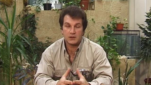 Работа с шелком смотреть онлайн