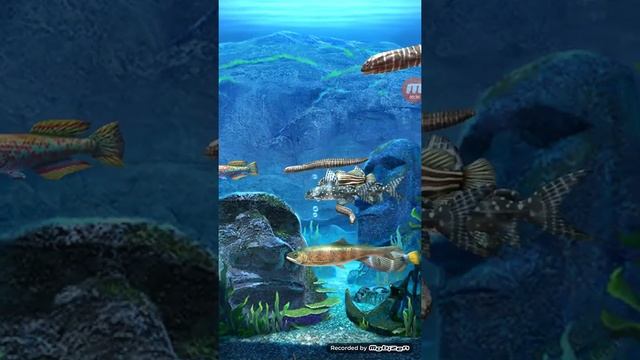 Ace Fishing Wild Catch 2 Tank Full Hidden Fish смотреть онлайн
