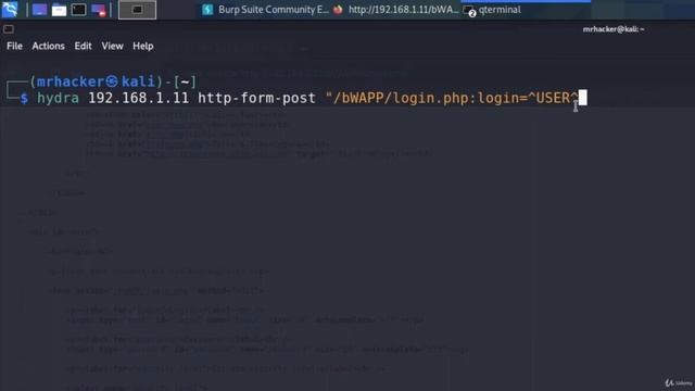 002 Hydra Bwapp Form Bruteforce