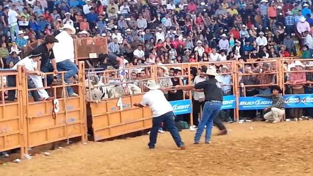 Jaripeo 2013 rancho san miguel смотреть онлайн