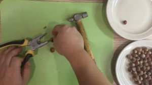 Как расколоть фундук. Самый эффективный способ колоть орехи.