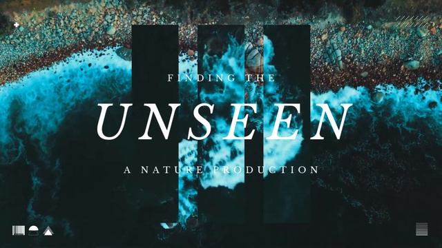 "SHINE BRIGHT " - natural hair growth shampoo products смотреть онлайн