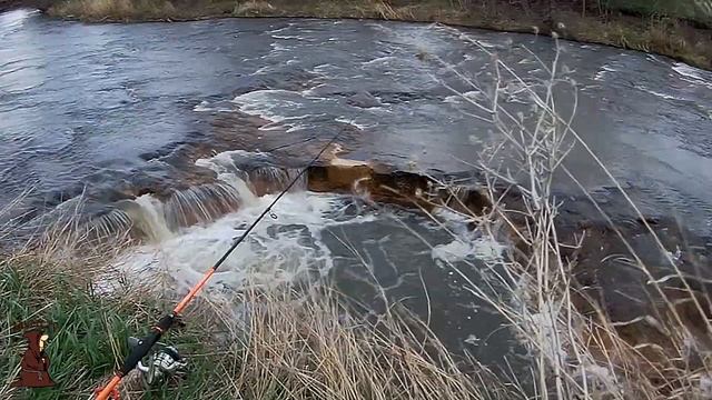 С Рыбалки на Тихую Охоту рыбалка в Мае и весенние грибы Сморчки 2021 крупный окунь на донку с берег смотреть онлайн