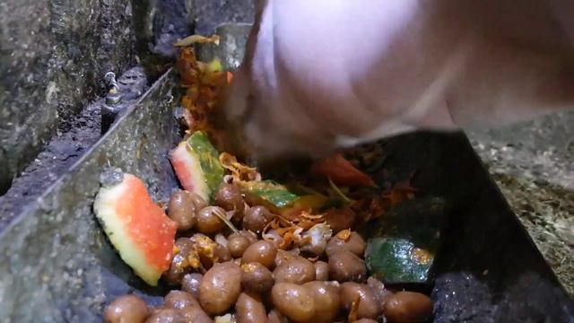 свинья по имени Влад Савельев кушает смотреть онлайн