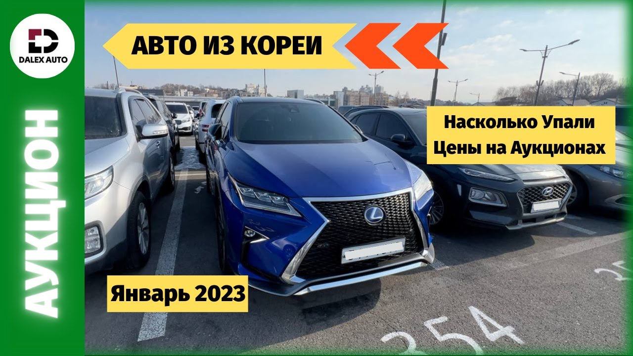 Новый сезон 2023! Цены на аукционах в Корее смотреть онлайн