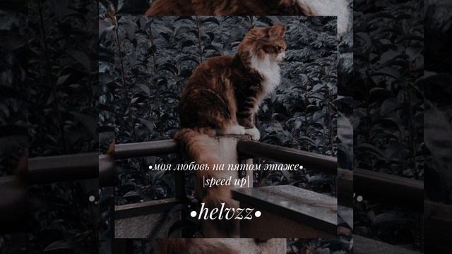 •моя любовь на пятом этаже• speed up смотреть онлайн