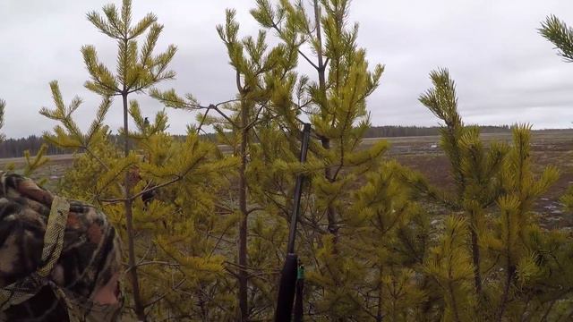 Охота на гуся весна 2020 1 часть. Goose hunting spring 2020.1 part. смотреть онлайн