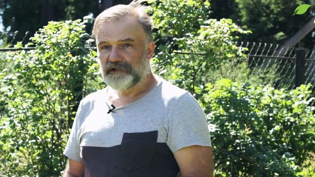 Лилейники - каждый день новые цветы смотреть онлайн