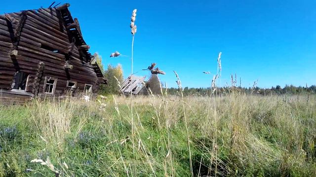 TIVDIAFishing2015 смотреть онлайн