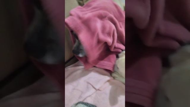 ET - ALIEN смотреть онлайн