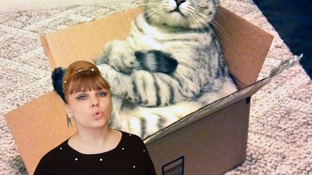 Кажется я раскрыла СЕКРЕТ почему КОШКИ любят залезать в КОРОБКИ! смотреть онлайн