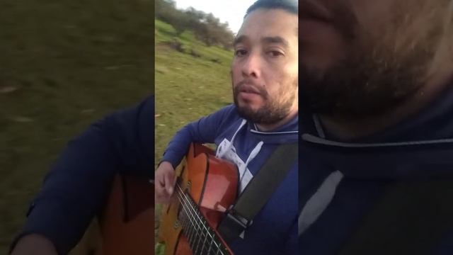 Quisiera ser el aire. Alejandro Sanz ( cover) смотреть онлайн