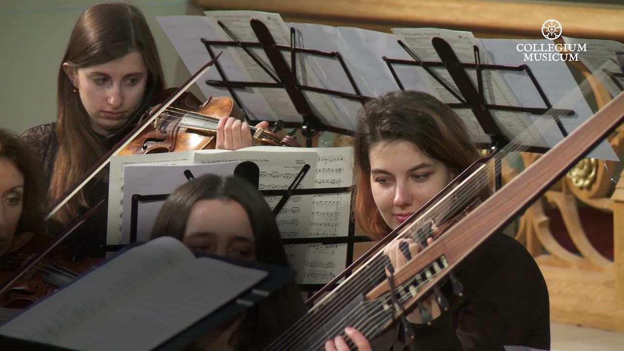 Bach: BWV 135 ACH HERR, MICH ARMEN SÜNDER. «Искупи, Всевышний, мои грехи». смотреть онлайн