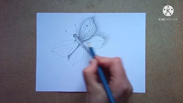 Как нарисовать бабочку? [рисуем просто] смотреть онлайн