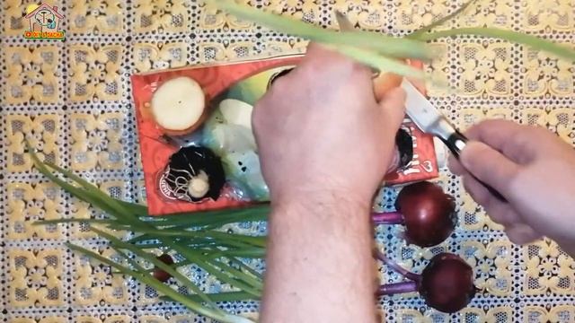 Лук на перо вырастил за 15 дней на кухне. DIY & DACHA Серия 243 смотреть онлайн