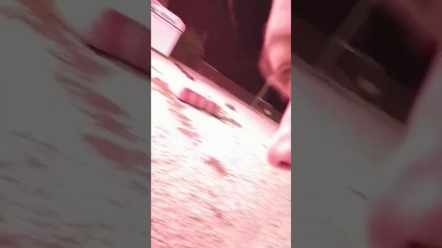 Запускаю салют смотреть онлайн