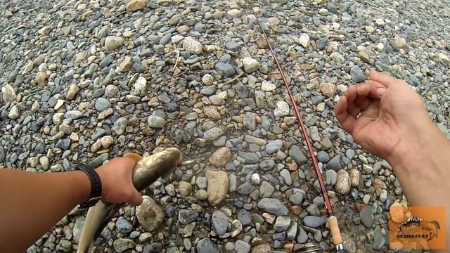 Ловля хариуса и ленка в глухой тайге/Такого я не ожидал/С нами АБВгат/Реке Малый Абакан, Хакасия. смотреть онлайн