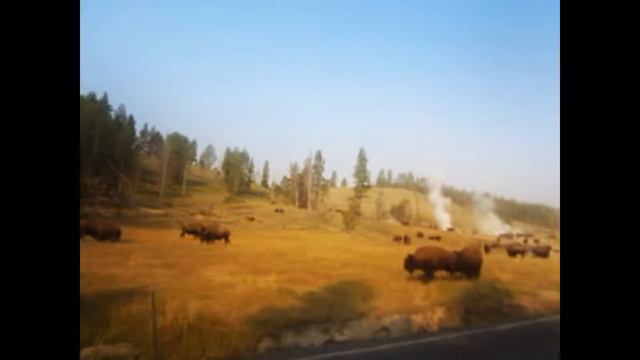 Yellowstone National Park - Йеллоустонский Национальный Парк смотреть онлайн