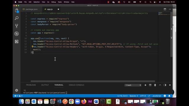 MEVN - 3 - Creating app.js, connecting to mongo, and allowing CORS - partOne смотреть онлайн