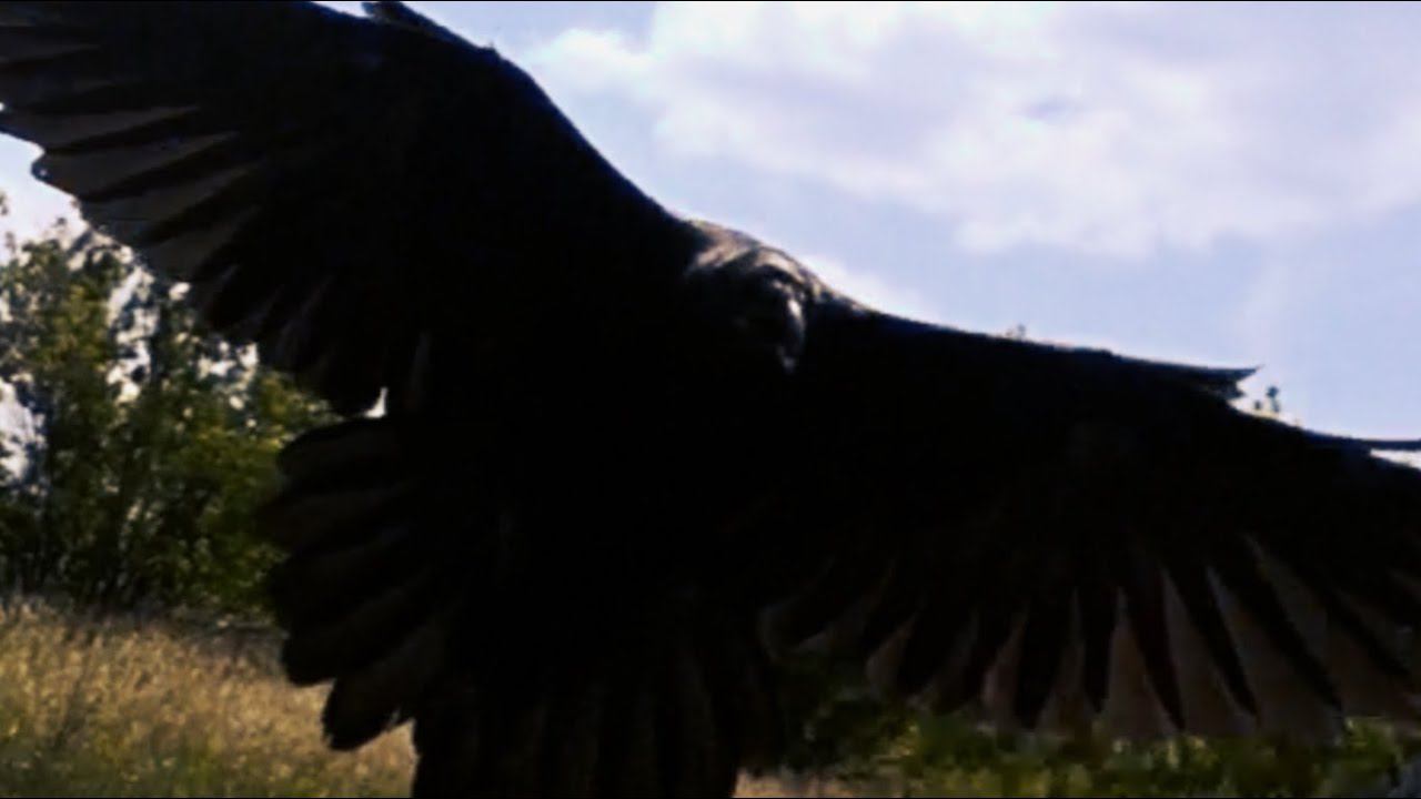 На привале о важном. смотреть онлайн