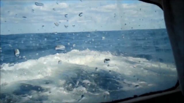 Terrapin #2. A Junk Rigged Sailboat travels in Maine with a family aboard in 2012 смотреть онлайн