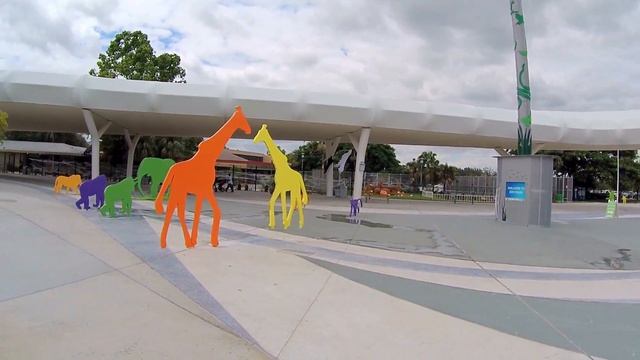 Фламинго в зоопарке Майами Flamingo in Miami Zoo смотреть онлайн