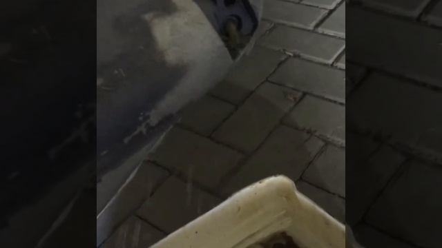 Техническое обслуживание лодочных моторов YAMAHA F130 и YAMAHA F250 смотреть онлайн