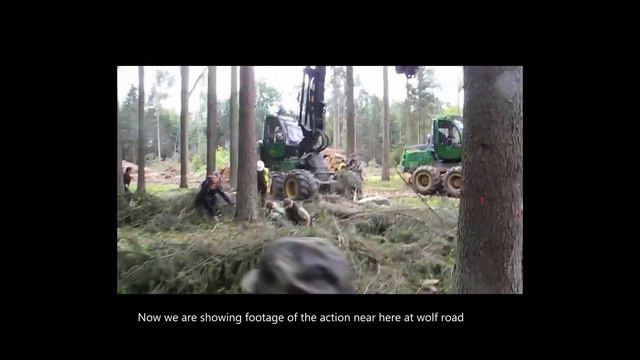 The Final Forrest - Białowieża Forest Short Documentary смотреть онлайн