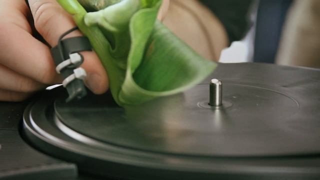 Diego Stocco - Duet for Leaves and Turntable смотреть онлайн