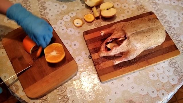 Животные в Зоопарках