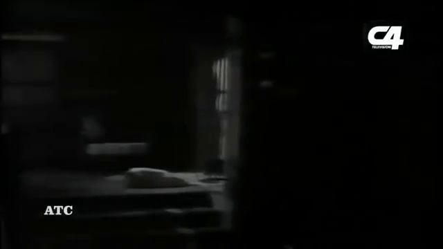 UN PASO AL MAS ALLA - FOREST OF THE NIGHT (EN EL BOSQUE DE LA NOCHE) - ESPAÑOL LATINO смотреть онлайн