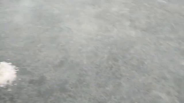 Эх , хвост- чешуя , не поймал я ничего ! смотреть онлайн