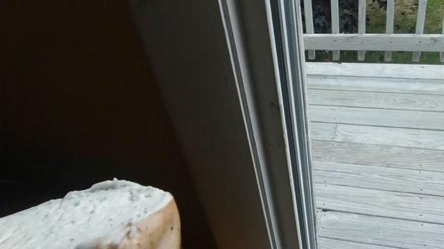 Кто знает, что это за гриб смотреть онлайн