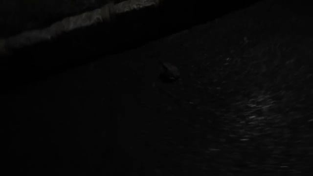 APPLE STORE AIR HORN - BFVSGF