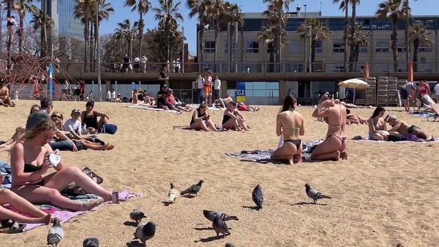 MUST SEE - Palma de Mallorca Spain WALK | Mallorca (Majorca) | Spain | 4k смотреть онлайн