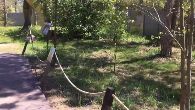 Евпатория парк Затерянный мир смотреть онлайн