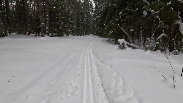 Лыжный поход на озеро Сольвейг и гору Арюшина. Заполицы Савинская 31.01.2024 смотреть онлайн