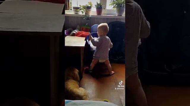 Дети наш смысл жизни... Берегите их! смотреть онлайн