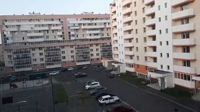 Стая собак в Чурилово напала на детей смотреть онлайн