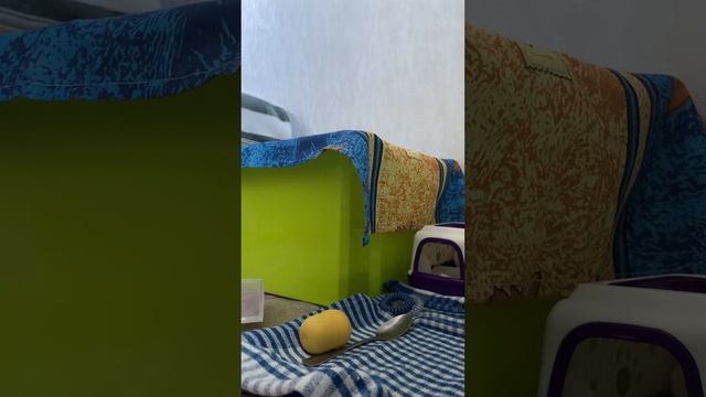 8 июля 2022 г. смотреть онлайн