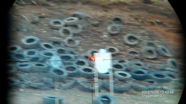 Оптические прицелы Artelv