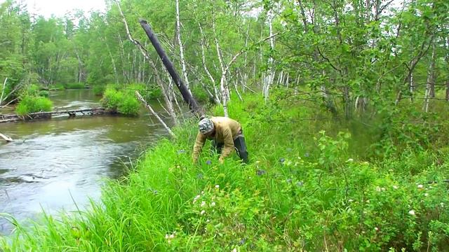 оха рыбалка смотреть онлайн