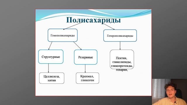 ЕГЭ Химия | ПОЛИСАХАРИДЫ смотреть онлайн