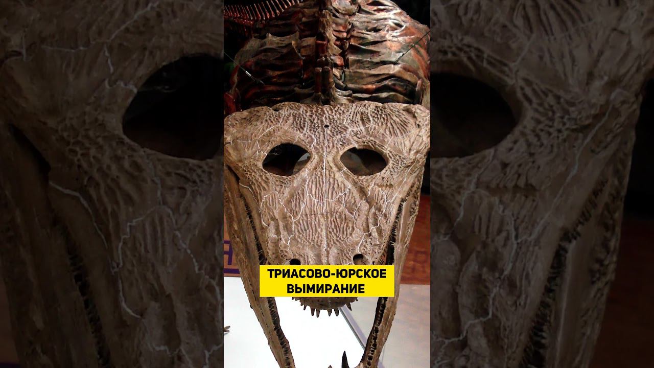 ТАЙНА КРАТЕРА МАНИКУАГАН | THE SPACEWAY смотреть онлайн