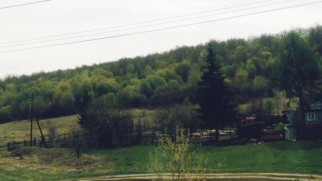 Фото лента смотреть онлайн